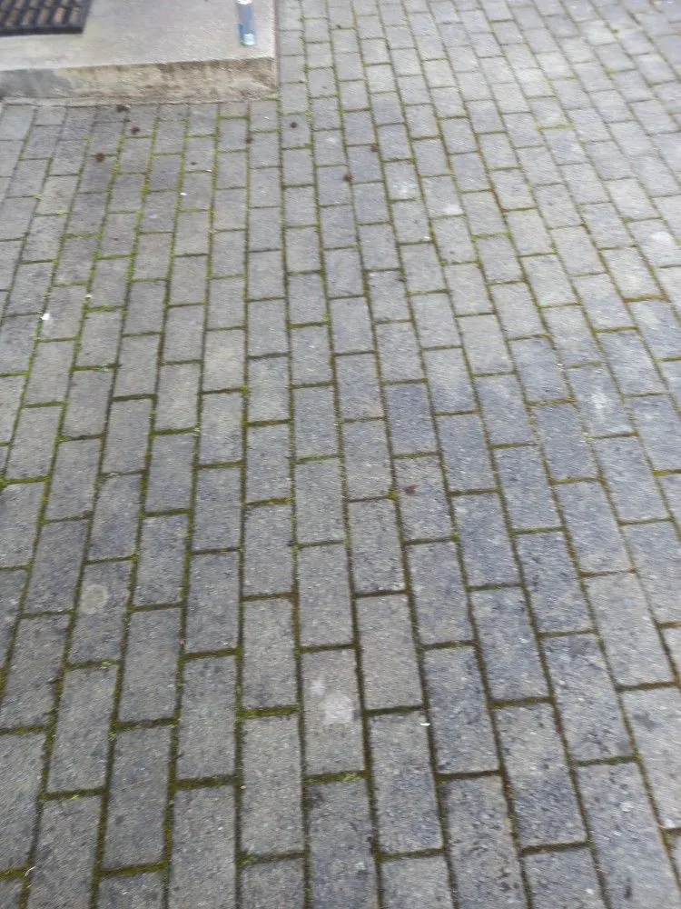 A block paved path and paved area