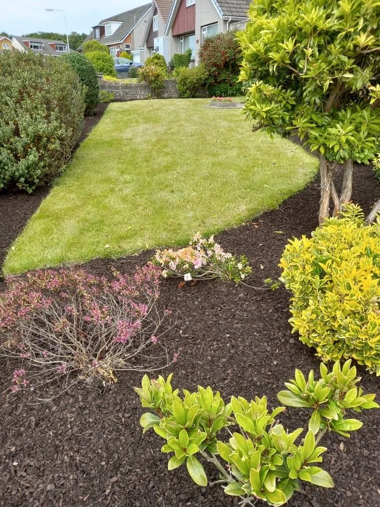 A freshly mown lawn and planted border in a Fife back garden