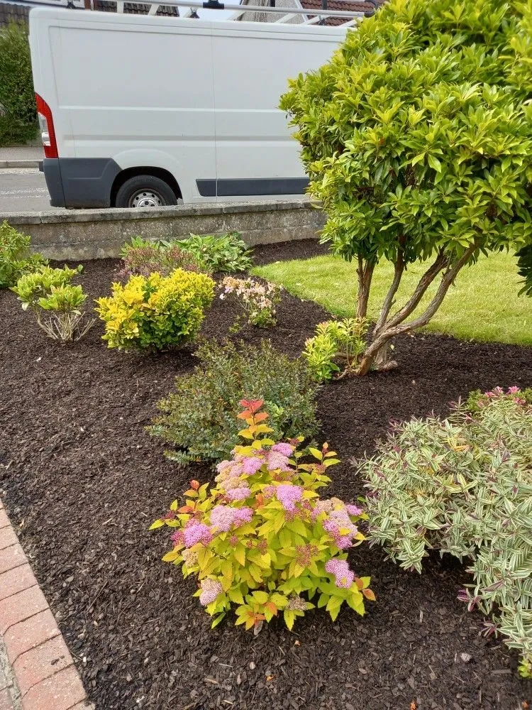 Planting and borders created by Amber and Sisters