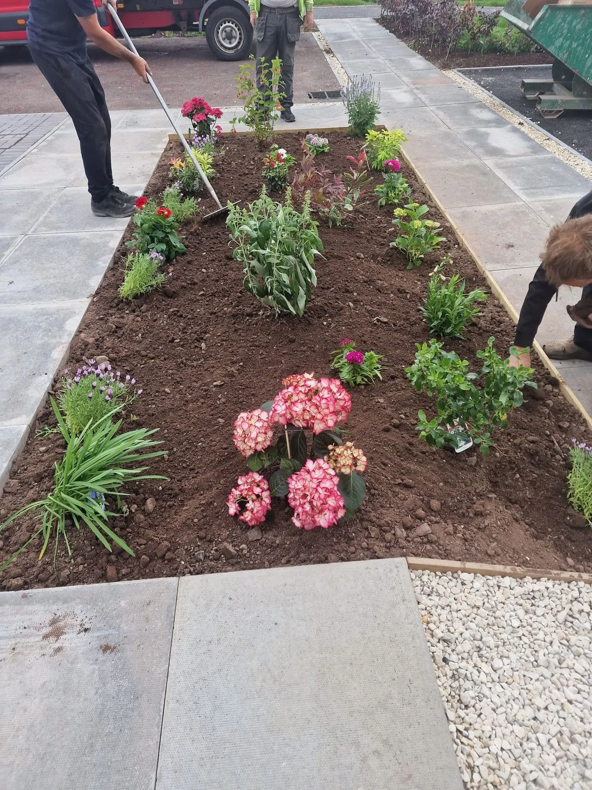 Borders & colour: an example of our garden work